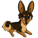 Tan base with dark brown husky and cream belly. It has pointed ears and a curly tail.