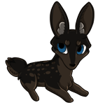 Brown deer zorvic with dark brown base and black husky. Also has brown deer spots and striking blue eyes.