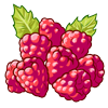 Red raspberries