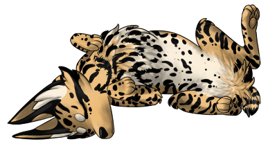 Sleeping Zorvic with natural ocelot coloring. Tan, cream belly, and black ocelot.