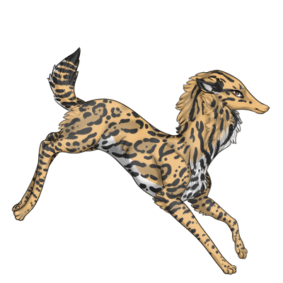 Happy preat bounding tan with white belly and black ocelot markings.