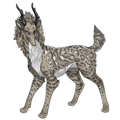 Gray tan preat with medium ocelot, white belly, and white deer spots.