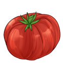 Red Heirloom Tomato
