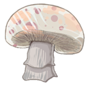 White Cap Shroom