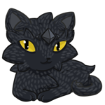 Black Wildcat Nyrin Plus