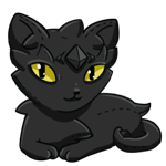 Black Cat Nyrin Plush