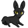 A Black Cat Zorvic Plush Vinx's favorite toy