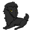A Black Cat Preat Plush - Female Mack's favorite toy