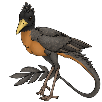 Bird creature with long legs and a long tail the shape of a leaf on the tip, has an orange belly and brown back feathers similar to a robin.
