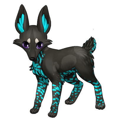 Dark color content zorvic with blue ocelot patterning covered by black husky. Bright attractive purple eyes.
